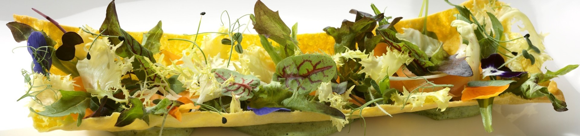 Advanced Professional Chef Course